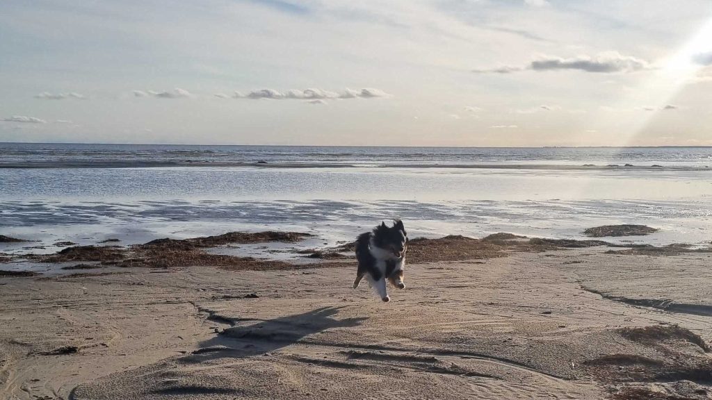 Autolla Eurooppaan Baltian läpi