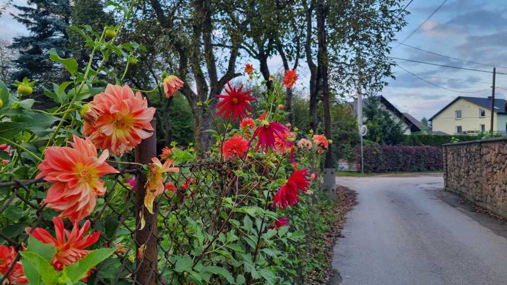 Suuri Varsova ja pieni Wadowice — Puolan läpi kohti&nbsp;Budapestia